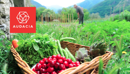 © Audacia © Audacia