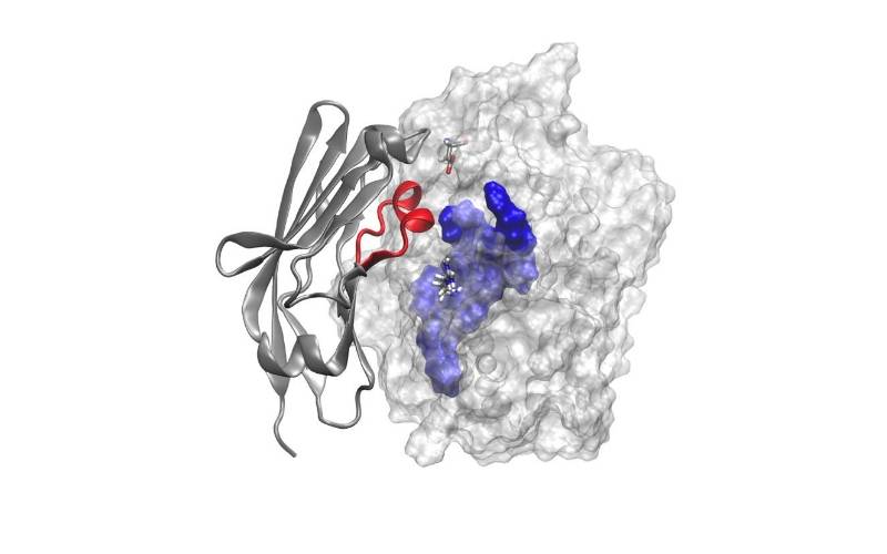 © Apmonia Therapeutics