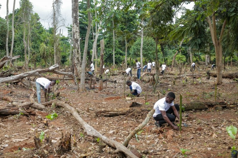 © Ardian / aDryada © Ardian / aDryada