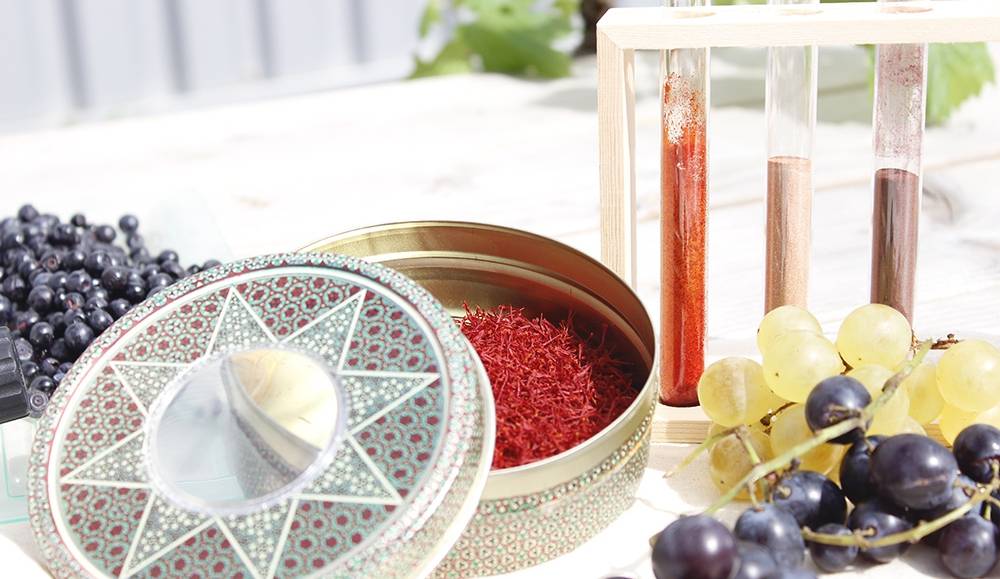 © Activ'Inside © Activ'Inside