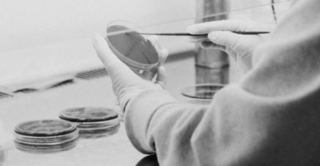 © Pherecydes Pharma