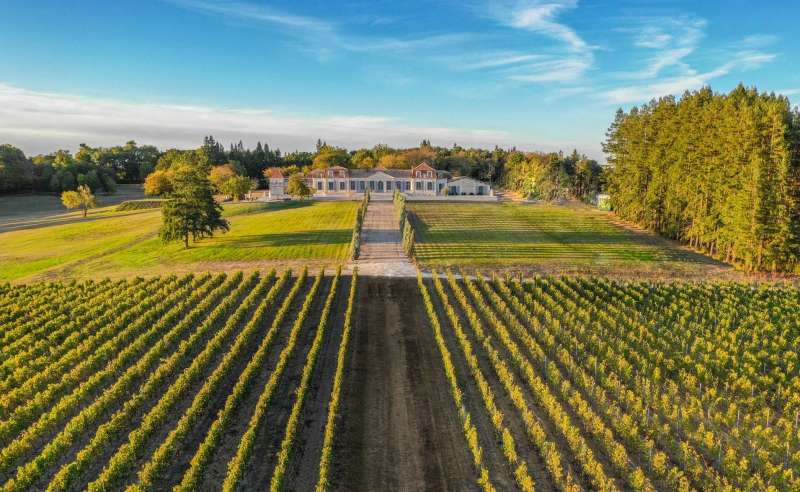 © Winalist © Winalist