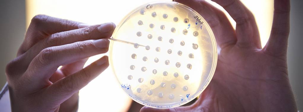 © Alderys © Alderys