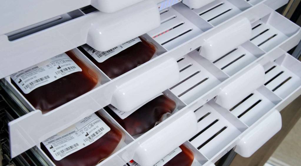 © Biolog-Id © Biolog-Id