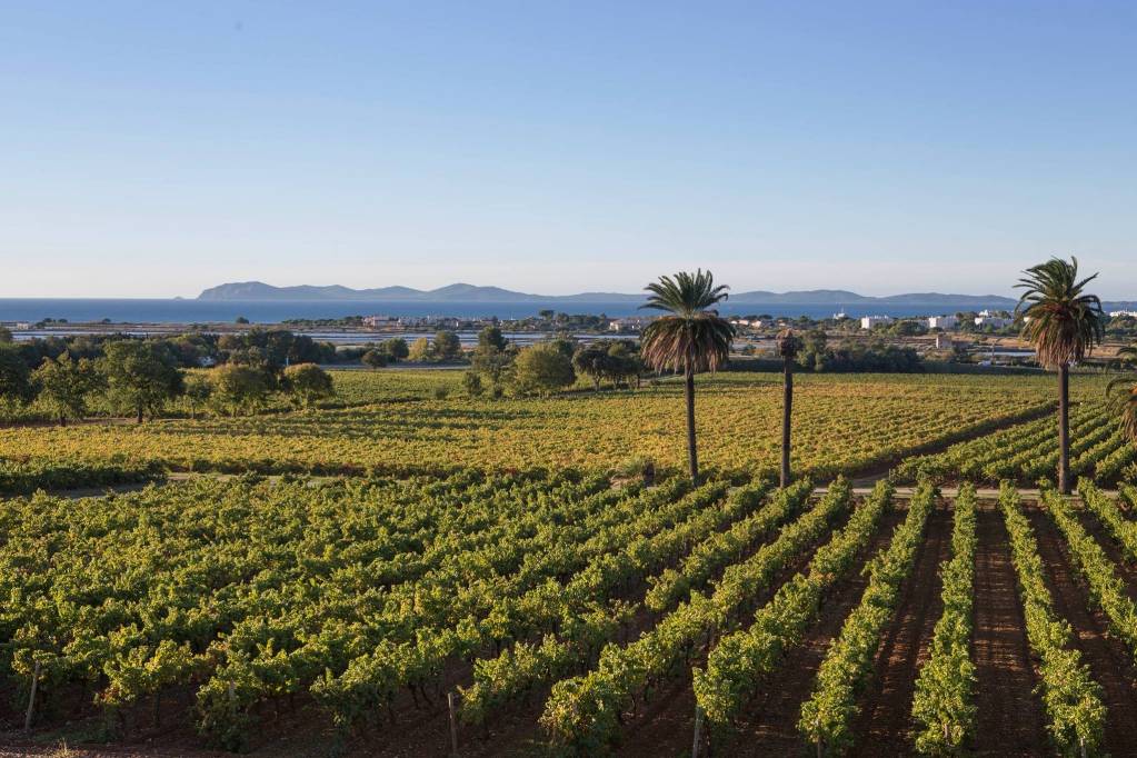 Château du Galoupet Château du Galoupet