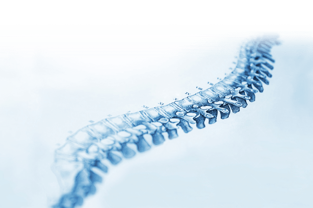 © France Rachis (FR2D) © France Rachis (FR2D)