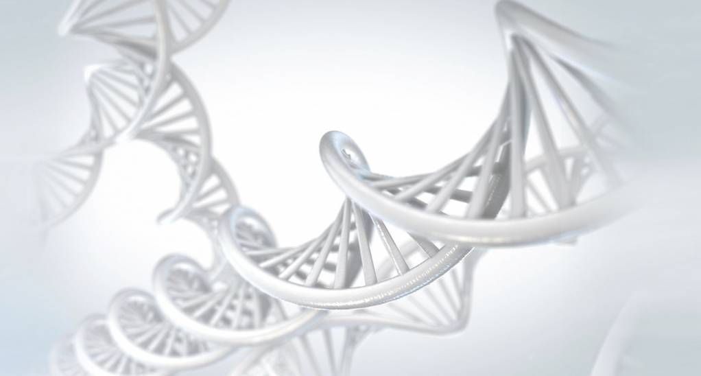 Invisible Sentinel Double hélice ADN