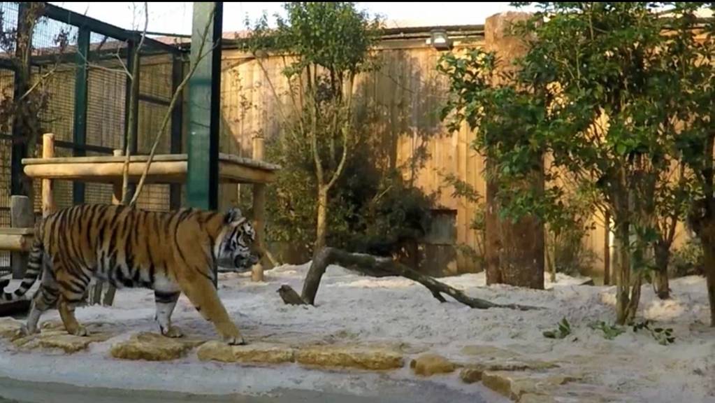 © Parc zoologique d'Amnéville