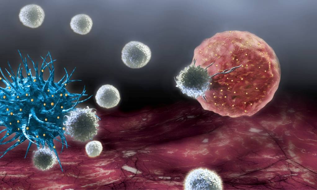 © PDC* Line Pharma © PDC* Line Pharma