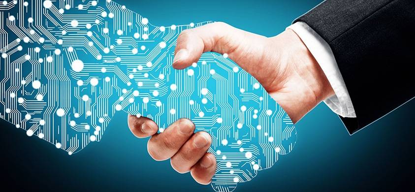 Polymont IT Services