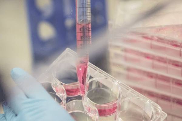 © Translate Bio © Translate Bio