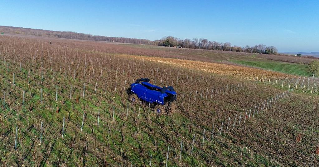 © VitiBot © VitiBot