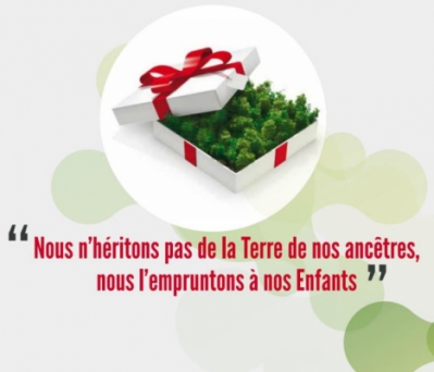 Plaquette en ligne Africa Global Recycling - ©africaglobal-recycling.com Plaquette en ligne Africa Global Recycling - ©africaglobal-recycling.com