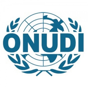 Organisation des Nations Unies pour le D&eacute;veloppement Industriel (ONUDI)