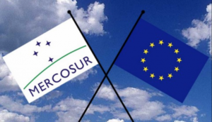 Union Européenne - Mercosur Union Européenne - Mercosur