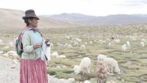 Voyages P&eacute;rou