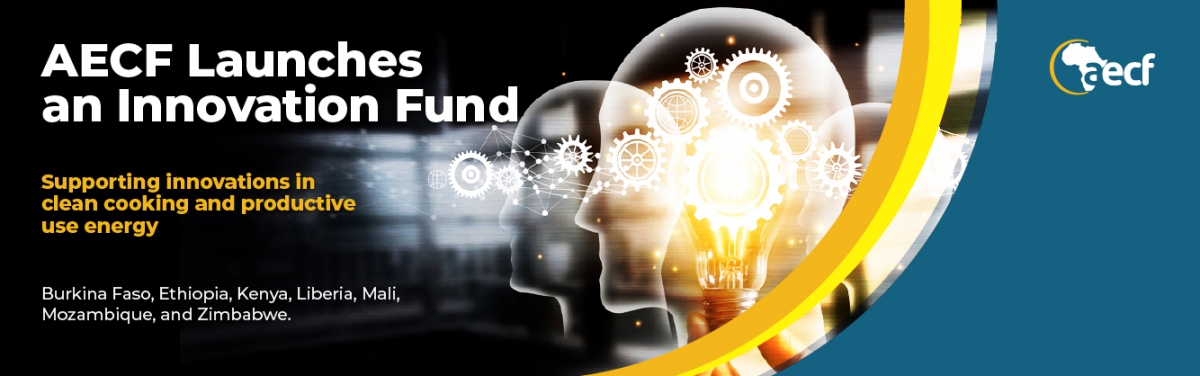© Africa Enterprise Challenge Fund (AECF) © Africa Enterprise Challenge Fund (AECF)