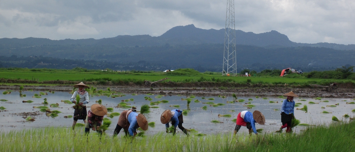 © Irrawaddy Green Towers © Irrawaddy Green Towers