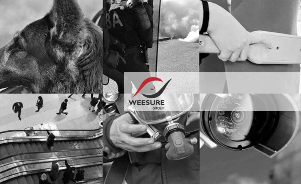 &copy; Weesure Group