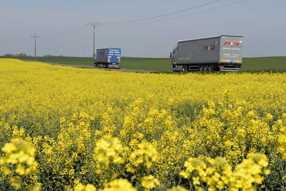 Lesieur Capital, filiale du Groupe Avril depuis 2012, op&egrave;re dans l&rsquo;huile de table et l&rsquo;huile d&rsquo;olive mais &eacute;galement les produits d&rsquo;hygi&egrave;ne corporel et de m&eacute;nage. - &copy; Groupe Avril