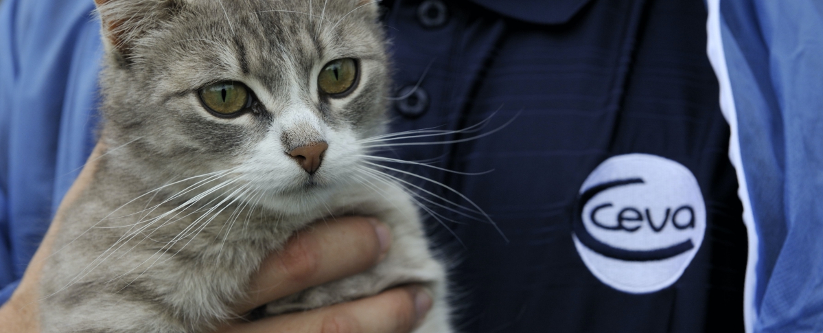© Ceva Santé Animale © Ceva Santé Animale