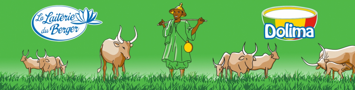 Producteur entre autres des yaourts Dolima, la Laiterie du Berger est la seule entreprise s&eacute;n&eacute;galaise fabriquant des produits laitiers &agrave; base de lait frais local. - &copy; La Laiterie du Berger