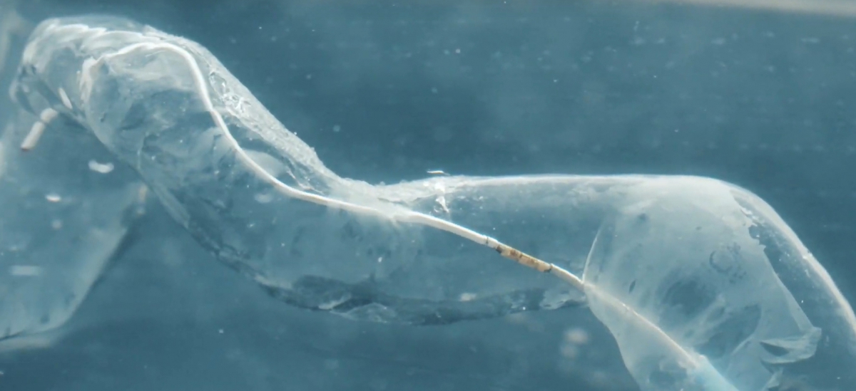 © Sensome © Sensome