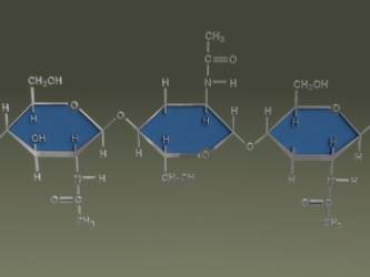 © Adobe Photo Stock