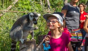 © Parc animalier de Sainte-Croix