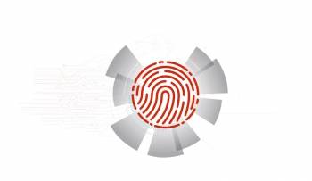 © Ilex International