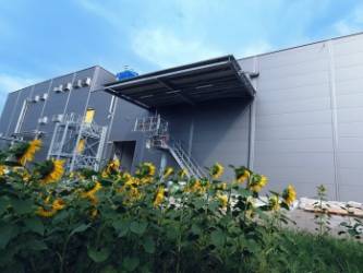 © Sunbloom Proteins