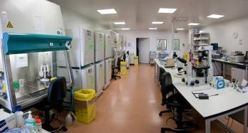 © Domain Therapeutics