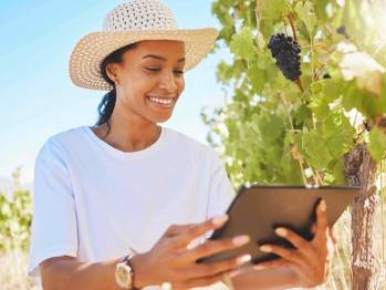 © Adobe Photo Stock