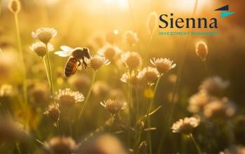 © Adobe Photo Stock (généré à l'aide de l'IA)