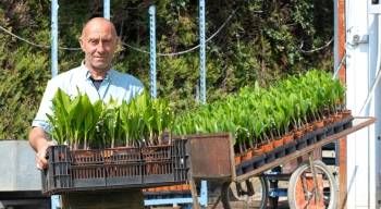 © Monsieur Marguerite