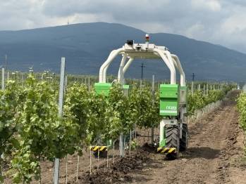 ©Naïo Technologies