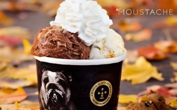 © Glaces Moustache