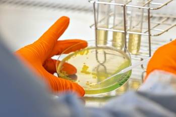 © Antabio / Franck Sonnet