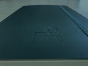 © Xiomega Consulting