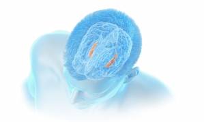 © Corlieve Therapeutics