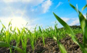 © Adobe Photo Stock