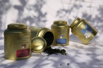 © Neptune Elements