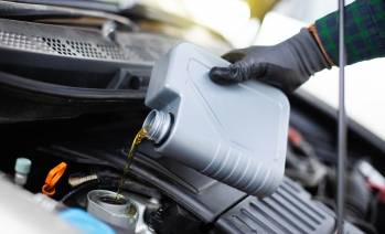 © Adobe Photo Stock