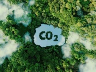 © Adobe Photo Stock