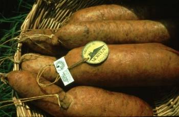 © Wikimedia Commons