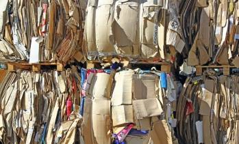 © Adobe Photo Stock