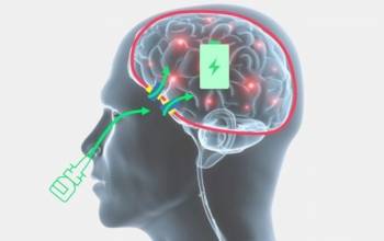 © Ceres Brain Therapeutics © Ceres Brain Therapeutics