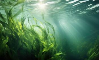 © Adobe Photo Stock (généré à l'aide de l'IA)