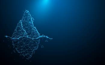 © Iceberg Data Lab © Iceberg Data Lab