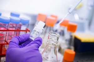 © Polyplus-transfection